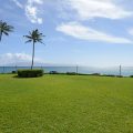 Polynesian Shores