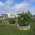Port LaBelle Inn