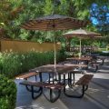 Quality Inn Near the Island Pigeon Forge