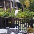 Ramada by Wyndham Oxnard
