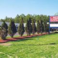 Red Carpet Inn and Suites