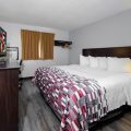 Red Roof Inn Culpeper