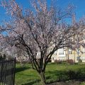 Red Roof Inn Washington DC – College Park