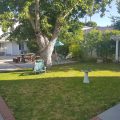 Rest Haven Motel
