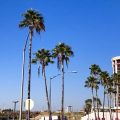 Rio Grande Plaza Hotel
