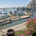 Rockview Inn and Suites