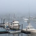 Rocky Neck Accommodations