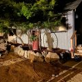 Rogue River Guest House