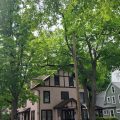 Rosewood Inn