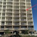 Royal Palms