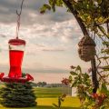 Scottish Bed & Breakfast