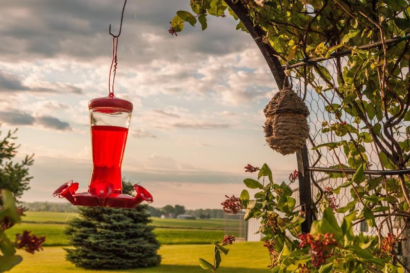 Scottish Bed & Breakfast in Bremen, Indiana, United States