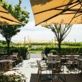 Shinn Estate Vineyards and Farmhouse