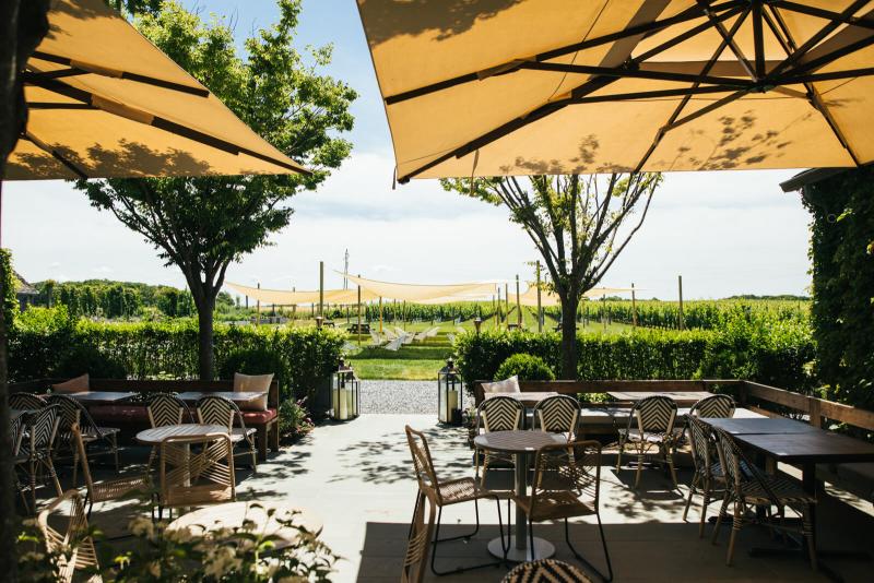 Shinn Estate Vineyards and Farmhouse in Mattituck, New York, United States