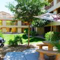 Siegel Select Casa Grande
