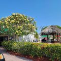 Silver Sands Villas