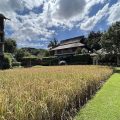 Siripanna Villa Resort & Spa