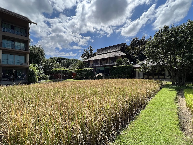 Siripanna Villa Resort & Spa in Chiang Mai, Thailand