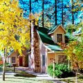 Sleepy Forest Cottages