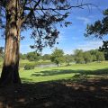Southern Oaks Inn