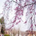Southern Virginia University Inn