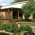 Star House B&B