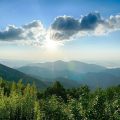 Sundog Vacation Rentals