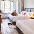 The Alida Hotel