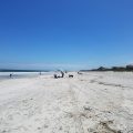 The Amelia Island Club at Long Point