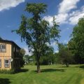 The Anderson Cottage