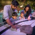 The Aquarium of Niagara Bed and Breakfast