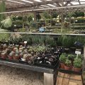 The Backbone Guest Farm