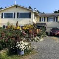 The Beary Patch