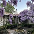 The Casitas of Arroyo Grande