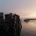 The Clam Cannery