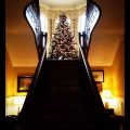 The Clifton House