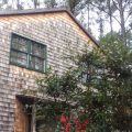 The Cotton Gin