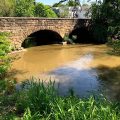 The Dragonfly Bed and Breakfast