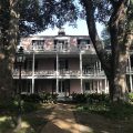 The Elms