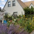 The Garden Cottage