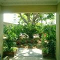 The Grove Beach Condominiums