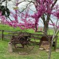 The Hoffmann Vacation Rental