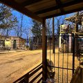 The Homestead Bed & Breakfast