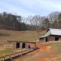 The Horse’s Hoof Bed and Breakfast
