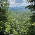 The Inn at Amicalola Falls