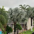 The Inn of Homestead