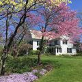 The Ivy Tree Inn & Garden