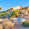 The Joshua Tree Oasis
