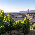 The Meritage Resort and Spa