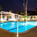 The Monkey Tree Hotel